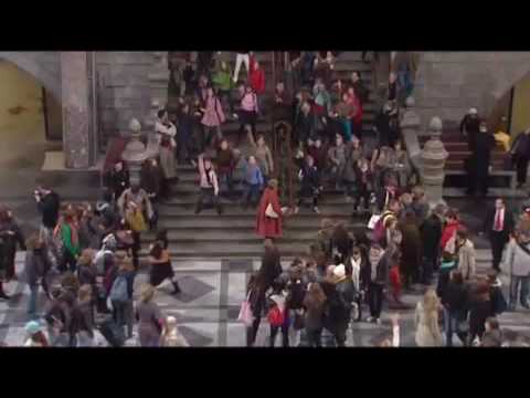 Flashmobs: meer succesvoorbeelden?